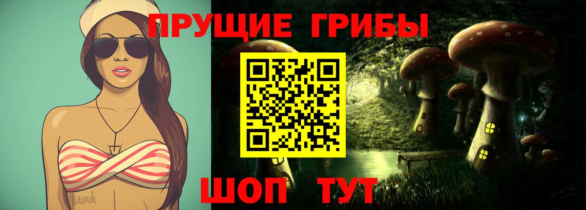 Псилоцибиновые грибы Psilocybe Балахна